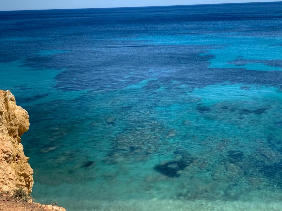 Ibiza Paradise Panzió Santa Eularia des Riu Kültér fotó